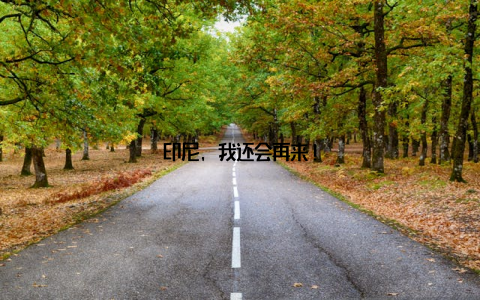 印尼, 我还会再来!