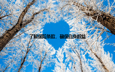 了解保险条款, 确保自身权益