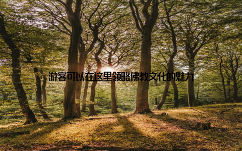 游客可以在这里领略佛教文化的魅力