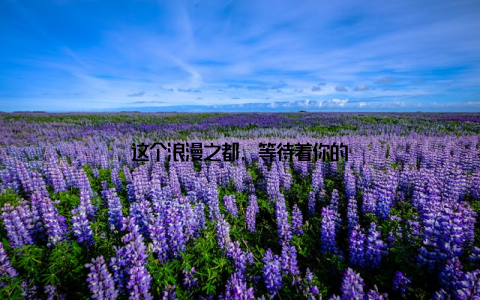 这个浪漫之都, 等待着你的