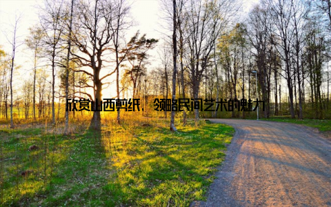 欣赏山西剪纸, 领略民间艺术的魅力