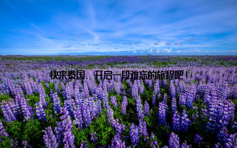 快来泰国, 开启一段难忘的旅程吧!