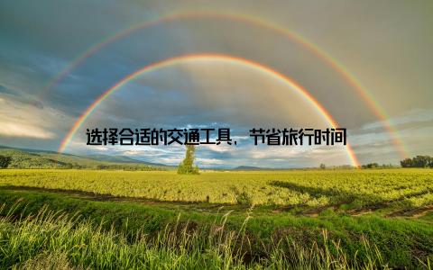 选择合适的交通工具, 节省旅行时间