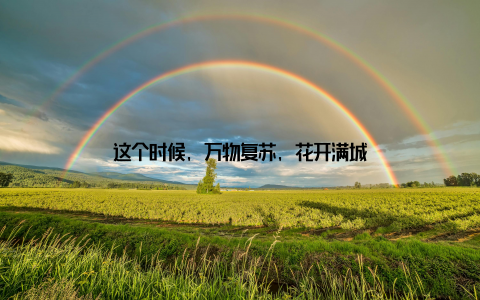 这个时候, 万物复苏, 花开满城