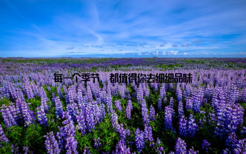 每一个季节, 都值得你去细细品味