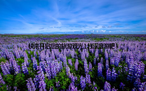 快来开启您的旅游观光1线深度游吧!