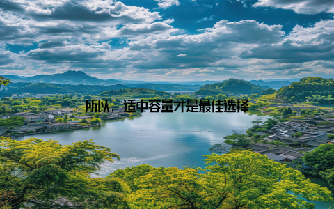 所以, 适中容量才是最佳选择