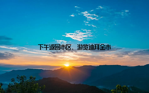 下午返回市区, 游览迪拜金市