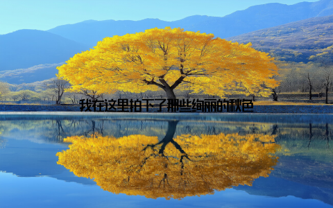 我在这里拍下了那些绚丽的秋色