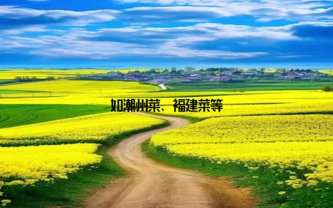 如潮州菜、福建菜等