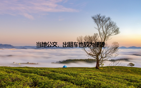 当地公交、出租车也较为便捷