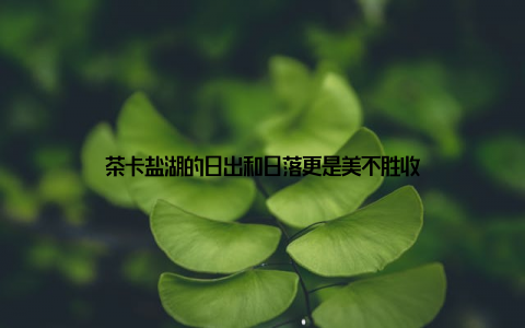茶卡盐湖的日出和日落更是美不胜收
