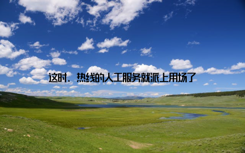 这时, 热线的人工服务就派上用场了