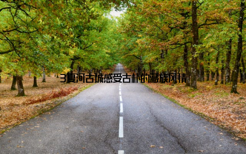 3夏河古城感受古朴的藏族风情