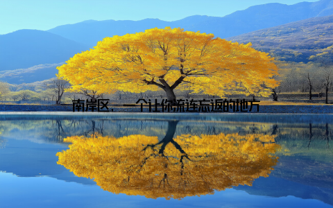 南岸区, 一个让你流连忘返的地方