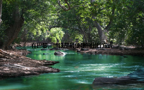 在巴黎, 地铁是最便捷的出行方式