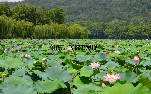 山东, 等你来发现!