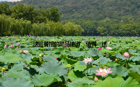 这些餐馆的菜品地道, 值得一试