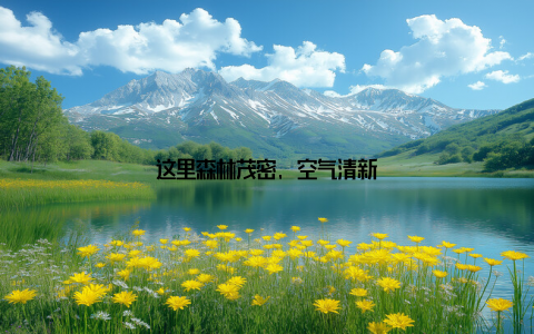 这里森林茂密, 空气清新