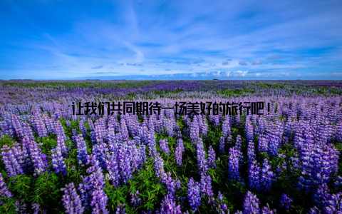 让我们共同期待一场美好的旅行吧!