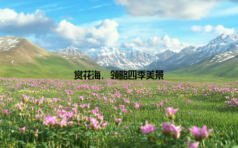 赏花海, 领略四季美景