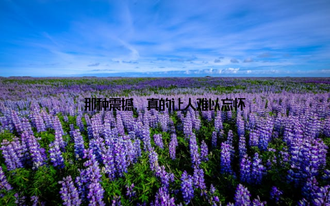 那种震撼, 真的让人难以忘怀