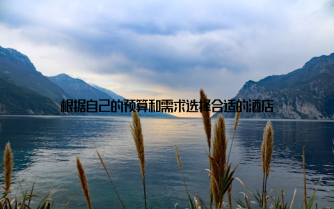 根据自己的预算和需求选择合适的酒店