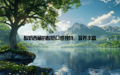 酸奶西藏的酸奶口感独特, 营养丰富