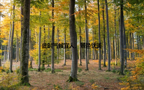 此时气候宜人, 景色优美