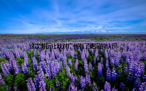 这次游玩让我对广州有了更深的认识