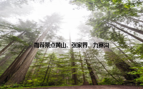 推荐景点黄山、张家界、九寨沟