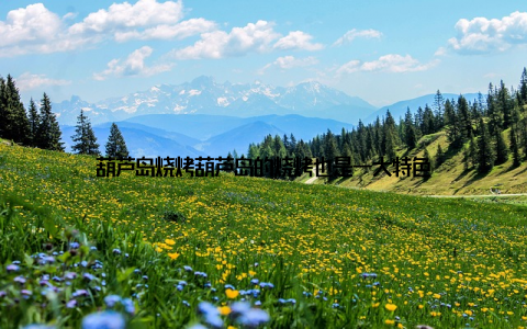 葫芦岛烧烤葫芦岛的烧烤也是一大特色