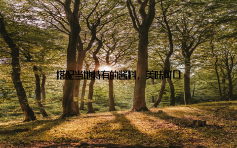 搭配当地特有的酱料, 美味可口