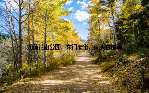 如莲花山公园、东门老街、南头古城等