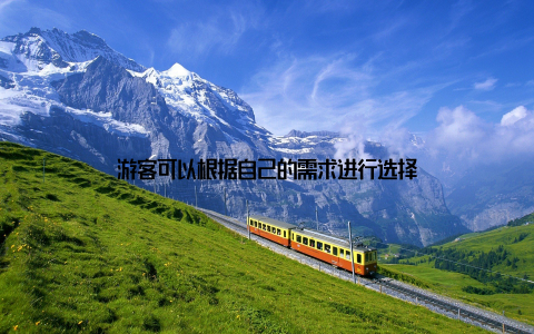 游客可以根据自己的需求进行选择