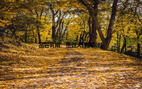 品尝乳扇, 感受大理的风味