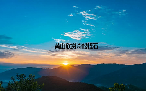 – 黄山欣赏奇松怪石