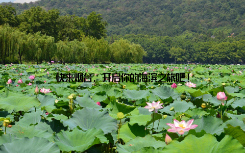 快来烟台, 开启你的海滨之旅吧!