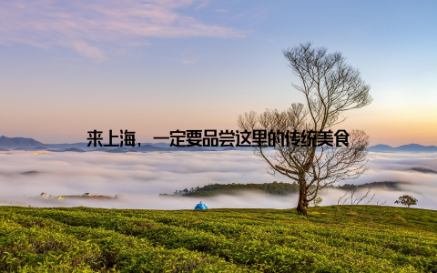 来上海, 一定要品尝这里的传统美食