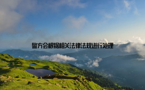 警方会根据相关法律法规进行处理