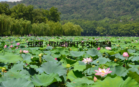 在这里, 可以感受到千年文化的底蕴