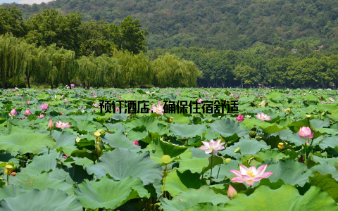 预订酒店, 确保住宿舒适