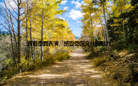 观看泰舞表演, 感受泰国文化的魅力