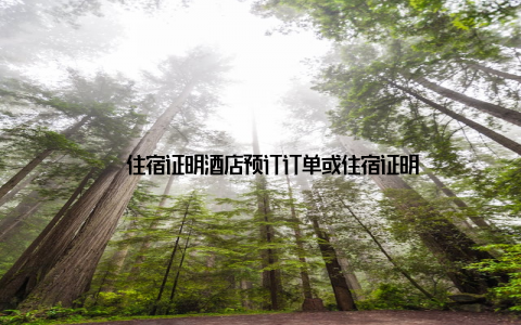 – 住宿证明酒店预订订单或住宿证明