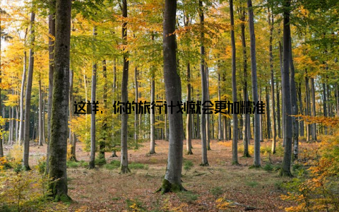 这样, 你的旅行计划就会更加精准