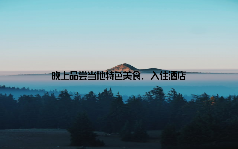 晚上品尝当地特色美食, 入住酒店