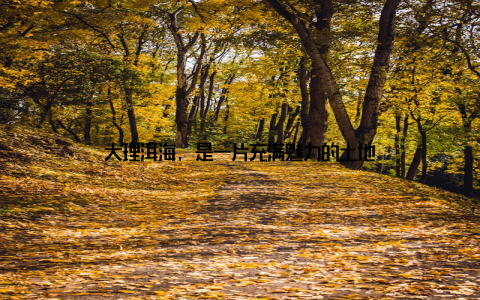 大理洱海, 是一片充满魅力的土地