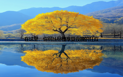 在这里, 你可以尽情享受夜晚的狂欢