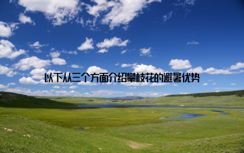 以下从三个方面介绍攀枝花的避暑优势