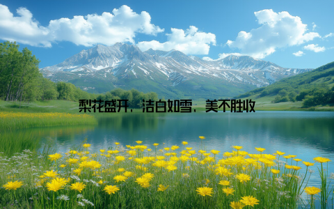 梨花盛开, 洁白如雪, 美不胜收